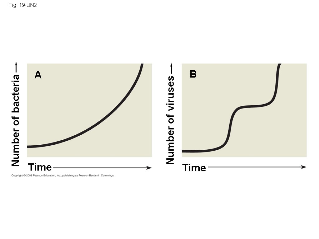 Fig. 19-UN2 Time Time A B Number of bacteria Number of viruses